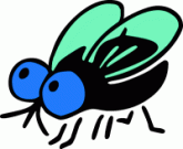 fly_insect's Avatar
